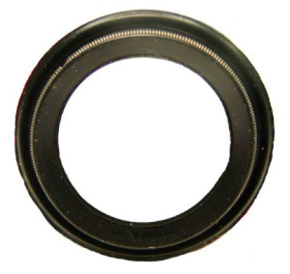 Image of Seal from SKF. Part number: SKF-15998