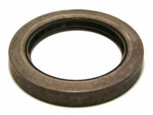 Image of Seal from SKF. Part number: SKF-17053