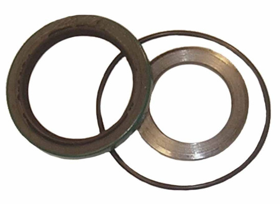 Image of Seal Kit from SKF. Part number: SKF-19011