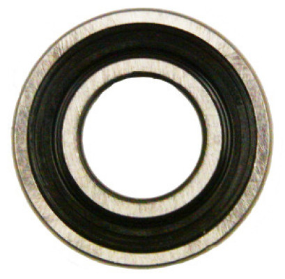 Image of Bearing from SKF. Part number: SKF-202-NPP5
