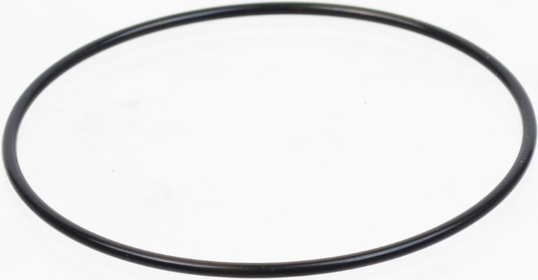 Image of O-Ring from SKF. Part number: SKF-30192