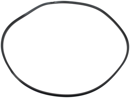 Image of V-Ring seal from SKF. Part number: SKF-405009