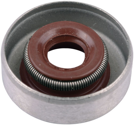 Image of Seal from SKF. Part number: SKF-4923