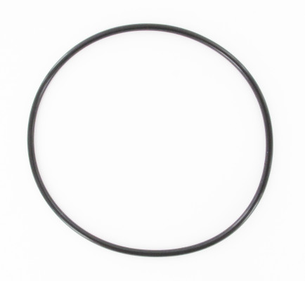 Image of O-Ring from SKF. Part number: SKF-4C3Z1