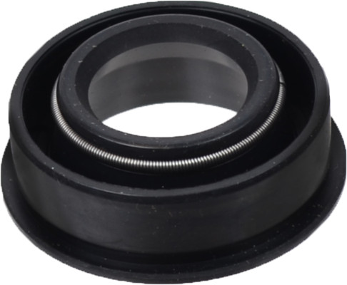Image of Seal from SKF. Part number: SKF-550189