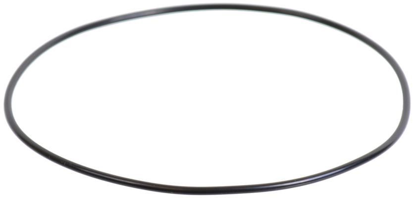 Image of O-Ring from SKF. Part number: SKF-5C3Z4