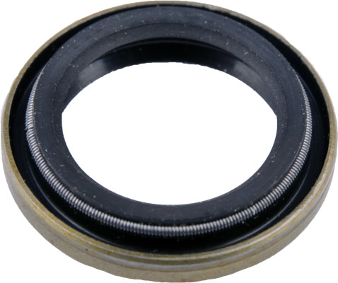 Image of Seal from SKF. Part number: SKF-6119