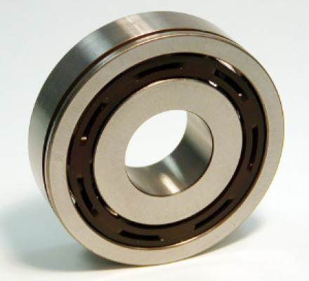Image of Bearing from SKF. Part number: SKF-6305-NSP19