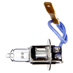 Image of Halogen, 100 Watt, Replacement Bulb, 12V from Trucklite. Part number: TLT-80560-4