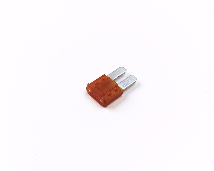 Image of Micro Blade Fuse ;  2 Blade, 10A from Grote. Part number: 82-ANT-10A