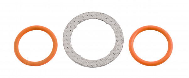Image of Exhaust Gas Recirculation (EGR) Valve O-Ring Kit from ALLIANT POWER. Part number: AP0005