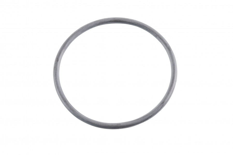Image of Exhaust Gas Recirculation (EGR) Valve O-Ring from ALLIANT POWER. Part number: AP0042