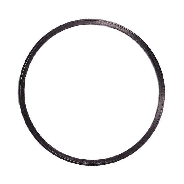 Image of DPF Inlet/Outlet Gasket from ALLIANT POWER. Part number: AP70302