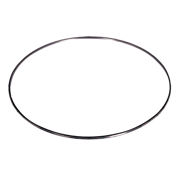 Image of DPF Inlet/Outlet Gasket from ALLIANT POWER. Part number: AP70307