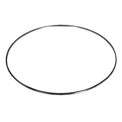 Image of DPF Inlet/Outlet Gasket from ALLIANT POWER. Part number: AP70307