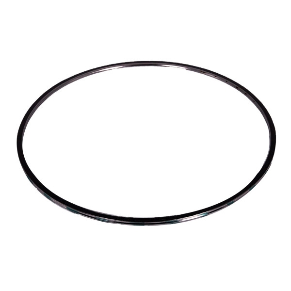 Image of DPF Inlet Gasket from ALLIANT POWER. Part number: AP70308