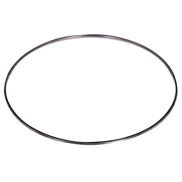 Image of DPF Inlet/Outlet Gasket from ALLIANT POWER. Part number: AP70312