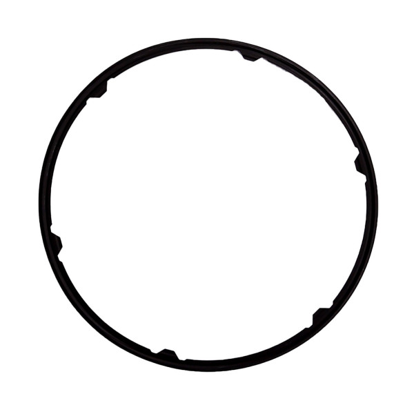 Image of DPF Inlet/Outlet Gasket from ALLIANT POWER. Part number: AP70315
