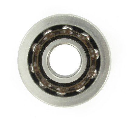 Image of Bearing from SKF. Part number: SKF-B01