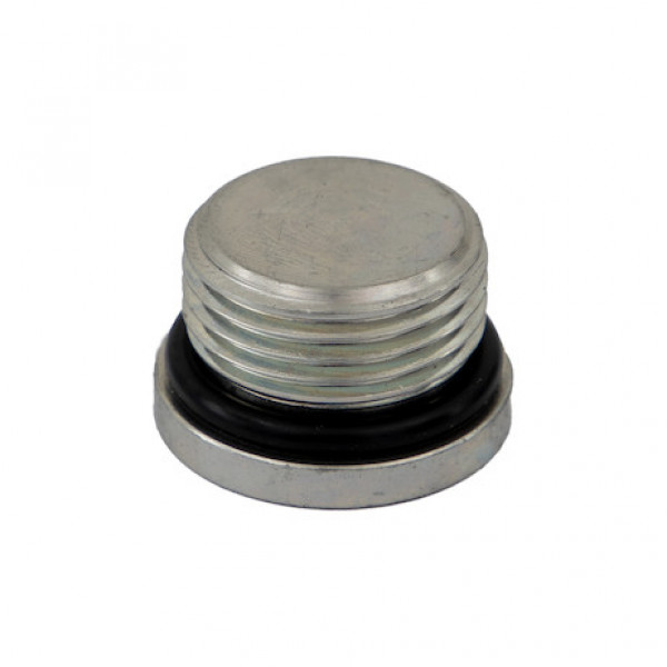 Image of Straight Thread O-Ring Hex Socket Plug 3/4 Inch Port Size from Buyers Products. Part number: H7238X12