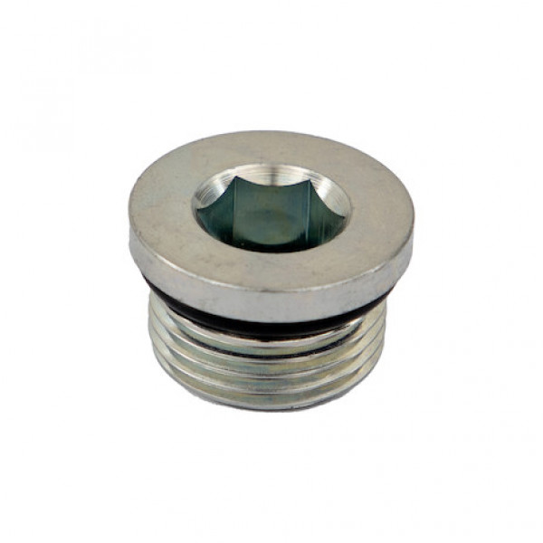 Image of Straight Thread O-Ring Hex Socket Plug 3/4 Inch Port Size from Buyers Products. Part number: H7238X12