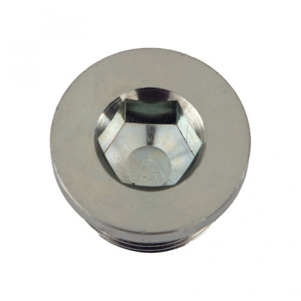 Image of Straight Thread O-Ring Hex Socket Plug 3/4 Inch Port Size from Buyers Products. Part number: H7238X12