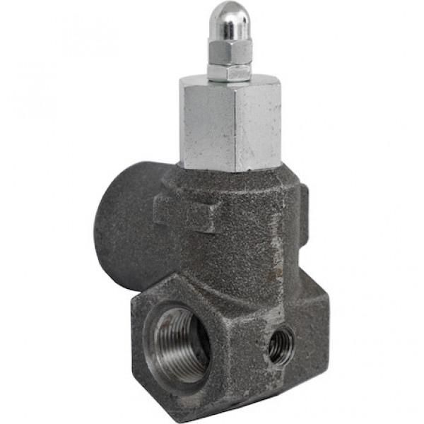 Image of 3/4 Inch NPT In-Line Relief Valve 20 GPM from Buyers Products. Part number: HRV07518