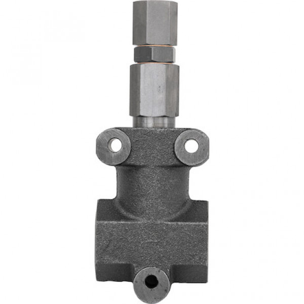 Image of 1 Inch NPT In-Line Relief Valve 50 GPM from Buyers Products. Part number: HRV10025