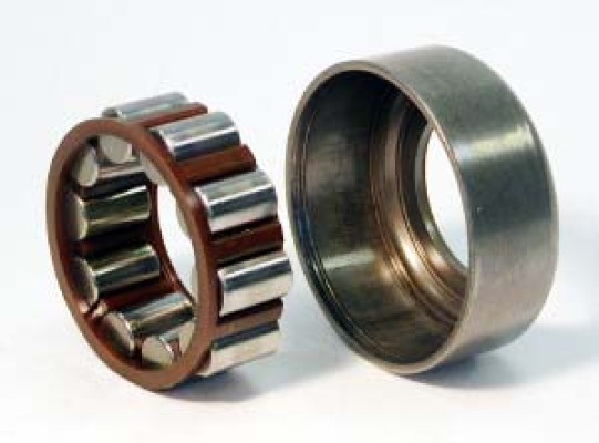Image of Cylindrical Roller Bearing from SKF. Part number: SKF-MA1205-TV