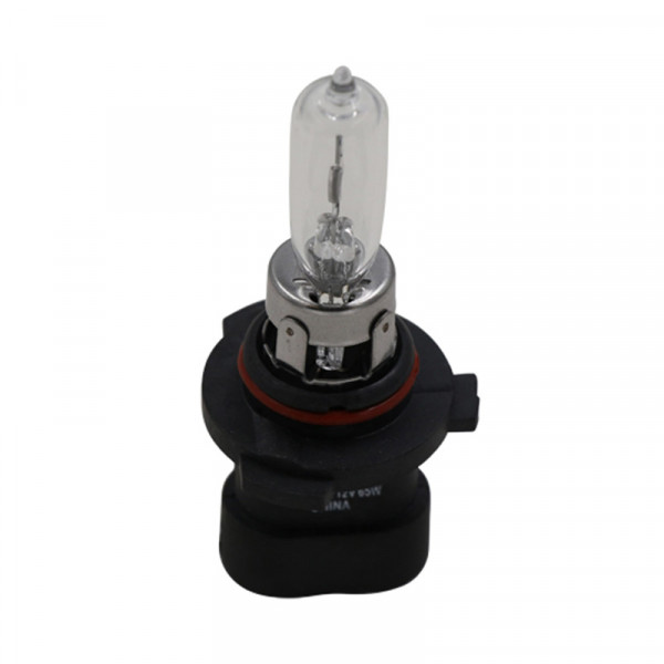 Image of BULB from World American. Part number: WA06-6001