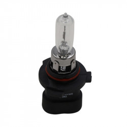 Image of BULB from World American. Part number: WA06-6001