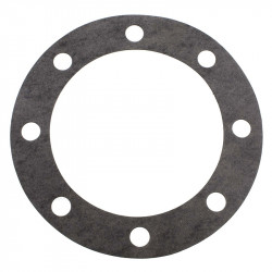 Image of GASKET - AXLE FLANGE - 8-BOLT from World American. Part number: WA14-5033