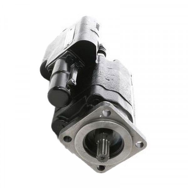 Image of Dump Pump with Cylinder from World American. Part number: WAP102-25LAST
