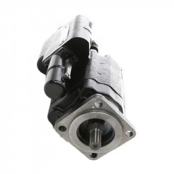 Image of Dump Pump with Cylinder from World American. Part number: WAP102-25LAST