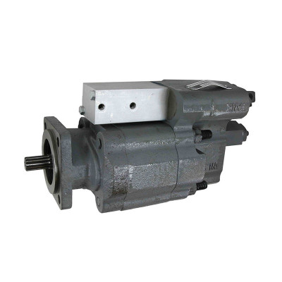 Image of Dump Pump from World American. Part number: WAP102-25RAST