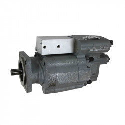Image of Dump Pump from World American. Part number: WAP102-25RAST