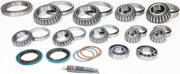 Image of Differential Rebuild Kit from SKF. Part number: SKF-SDK201-F