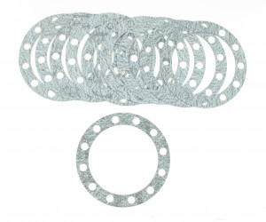 Image of Gasket from SKF. Part number: 450983-10
