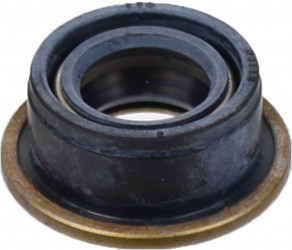 Image of Seal from SKF. Part number: 5553