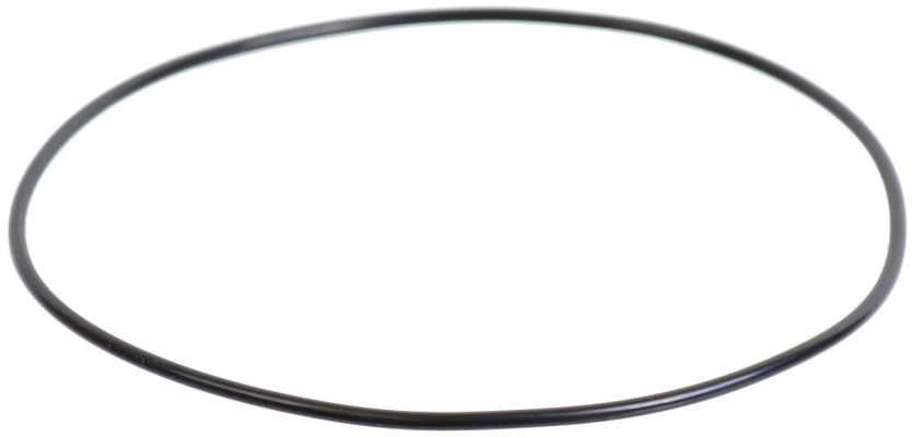 Image of O-Ring from SKF. Part number: 5C3Z4