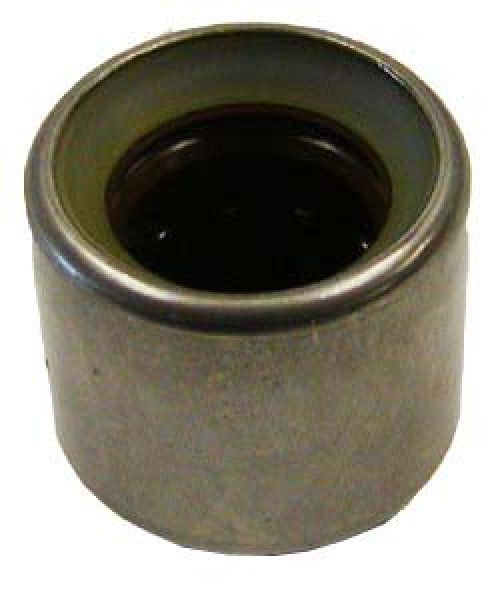 Image of Needle Bearing from SKF. Part number: F212285