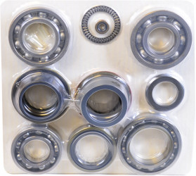 Image of Transfer Case Rebuild Kit from SKF. Part number: STCK4417