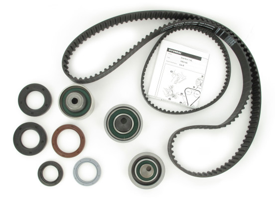 Image of Timing Belt And Seal Kit from SKF. Part number: SKF-TBK165P
