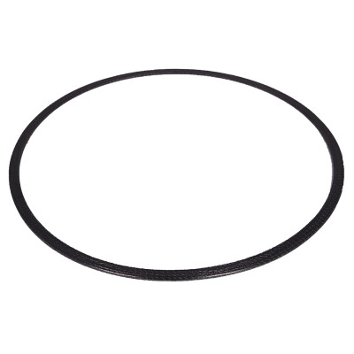 Image of DPF Inlet/Outlet Gasket from Alliant Power. Part number: AP70300