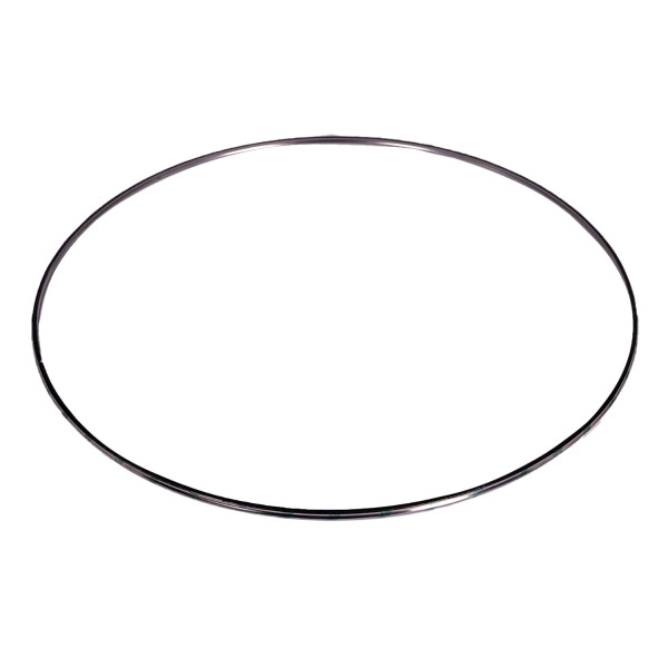 Image of DPF Inlet/Outlet Gasket from Alliant Power. Part number: AP70307