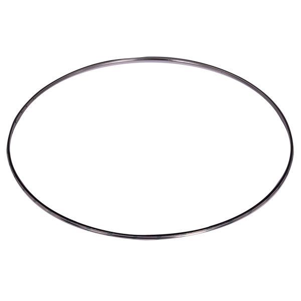 Image of DPF Inlet/Outlet Gasket from Alliant Power. Part number: AP70312