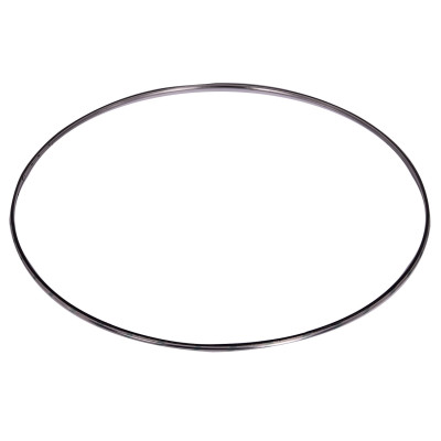 Image of DPF Inlet/Outlet Gasket from Alliant Power. Part number: AP70312