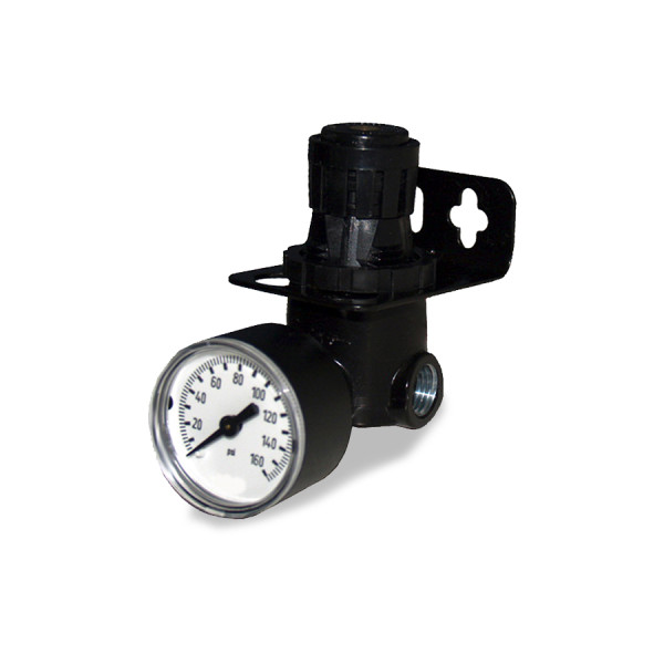 Image of AIR REGULATOR W/GAUGE 0-160 PSI from Velvac Inc. Part number: 320149